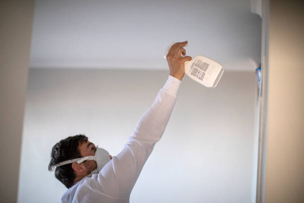 Best Local Mold Removal Service  in Cameron, TX