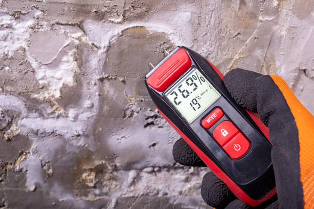 Best Affordable Mold Removal  in Cameron, TX